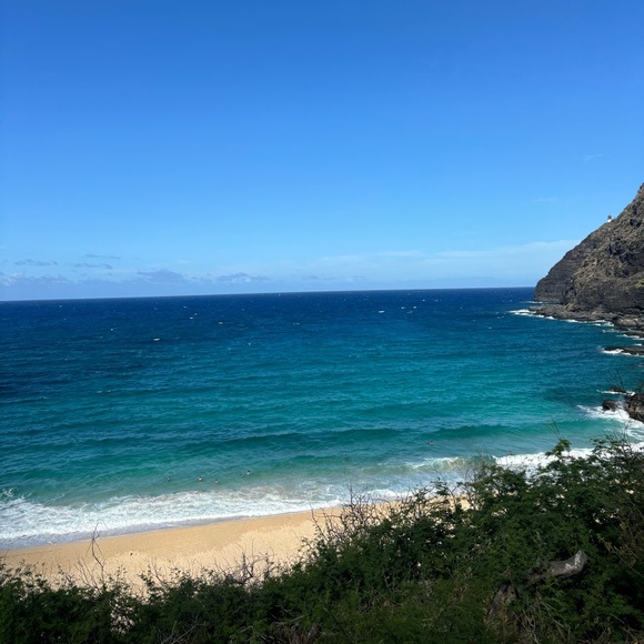 Meet your Posher, Skye - Picture 1 of 1